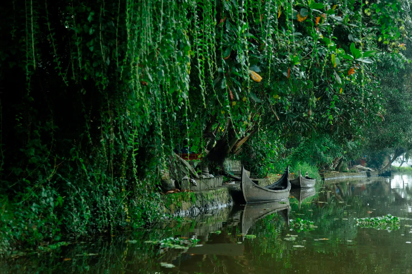 Palmgrove Lake Resort, 11