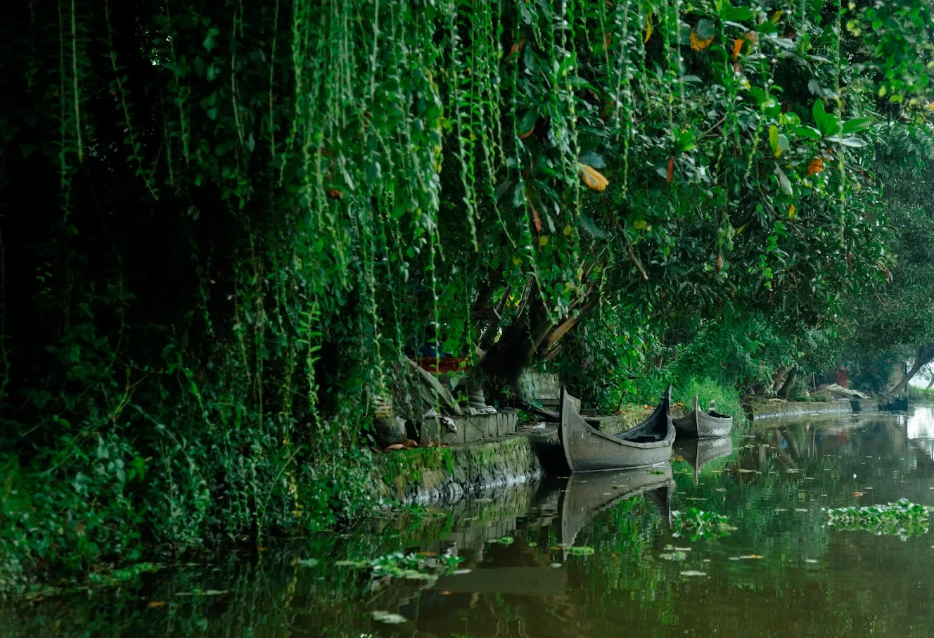 Palmgrove Lake Resort, 11