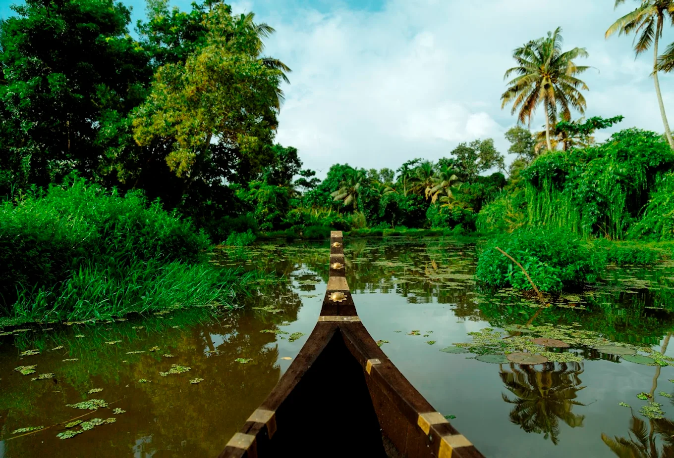 Palmgrove Lake Resort, 13