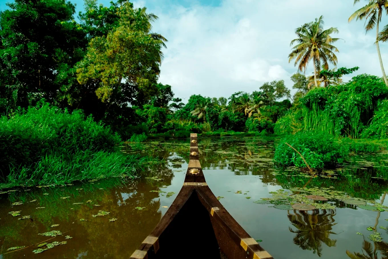 Palmgrove Lake Resort, 13