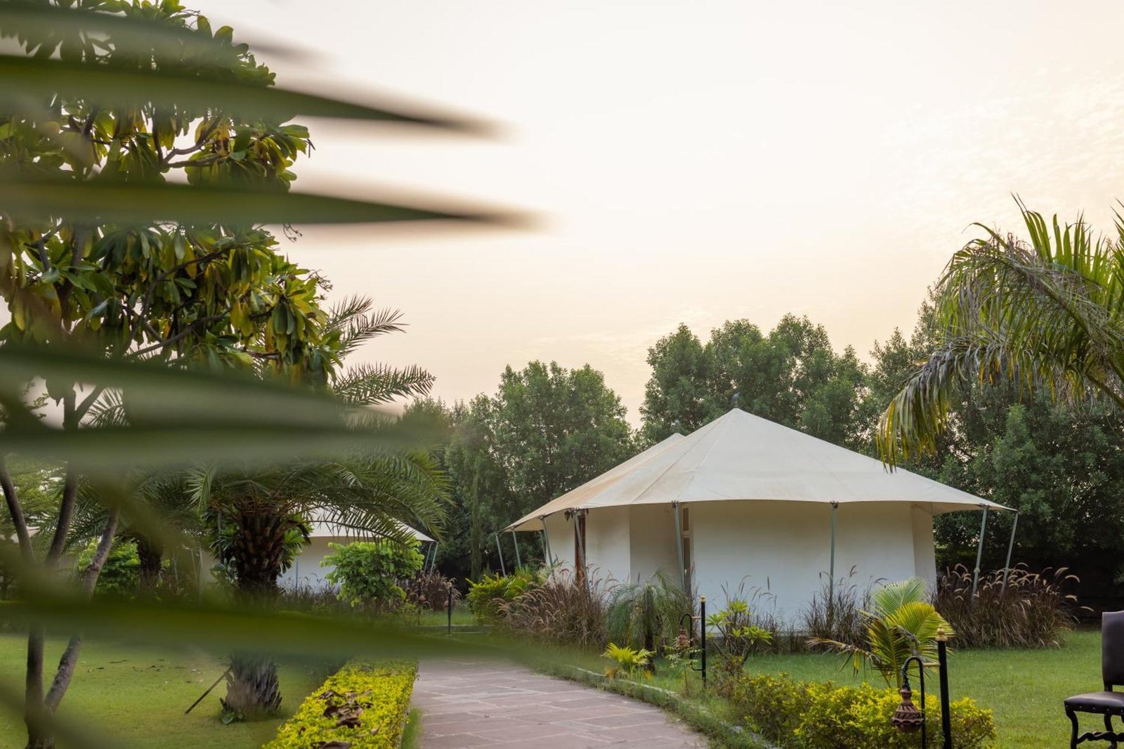 Ranthambore (3)